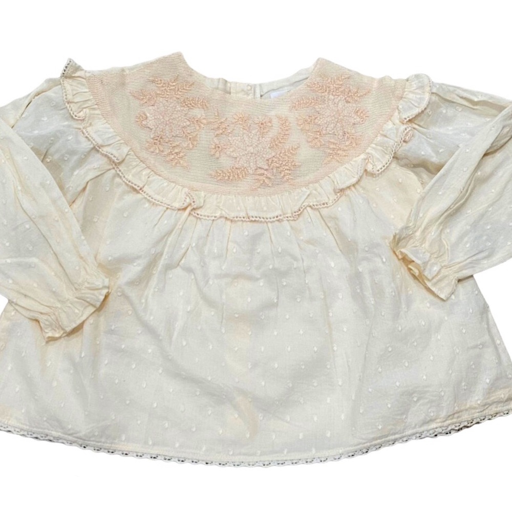 Zara Pink Embroidered Blouse
